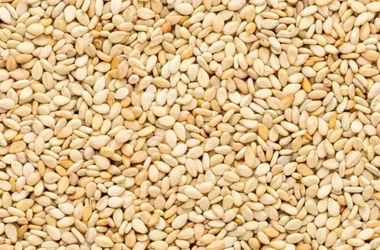 Services sesame